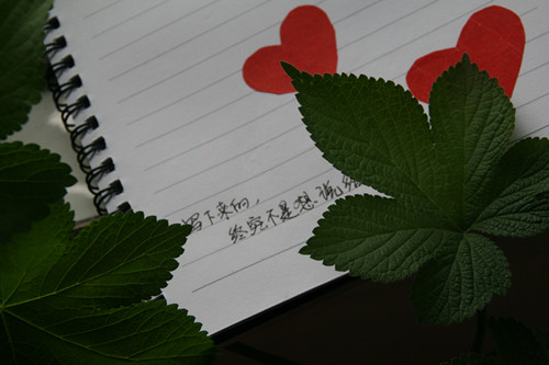 寻找幸福唯美图集_握在手中的幸福