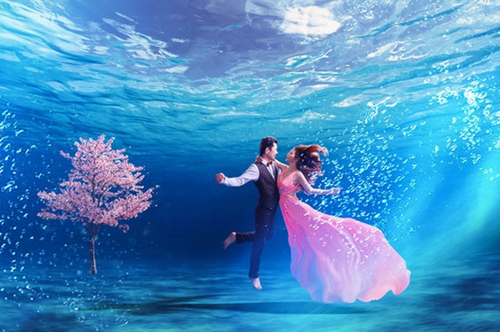 水下浪漫的邂逅