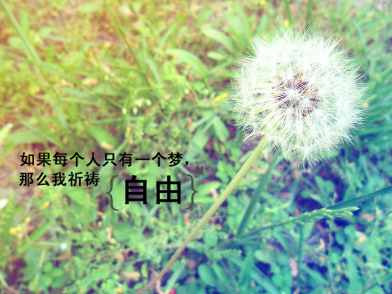 爱情图片
