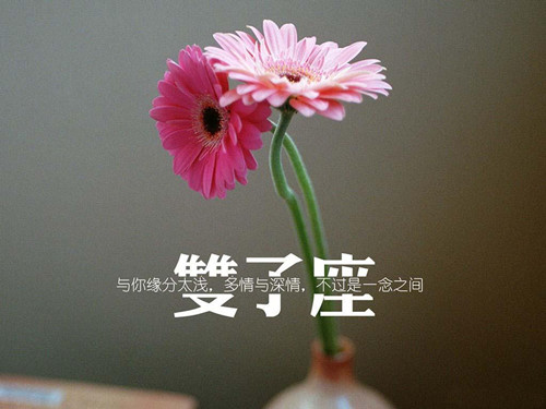 ˫