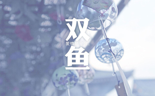 ˫