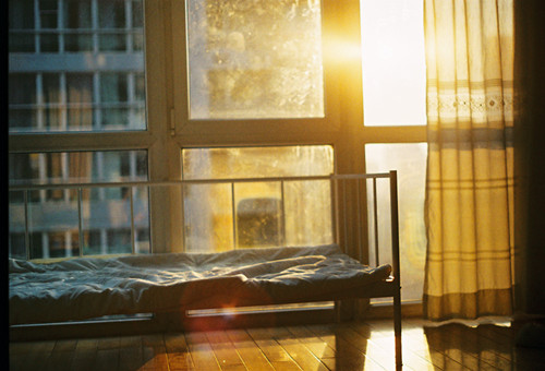 lomo羰