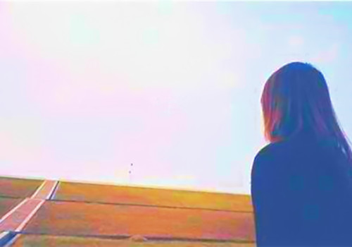 ˸